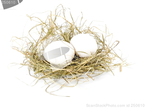 Image of eggs