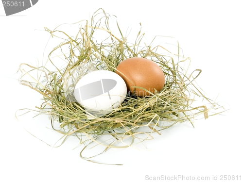 Image of eggs