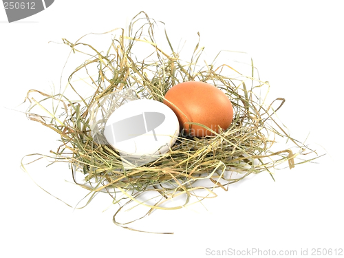 Image of eggs
