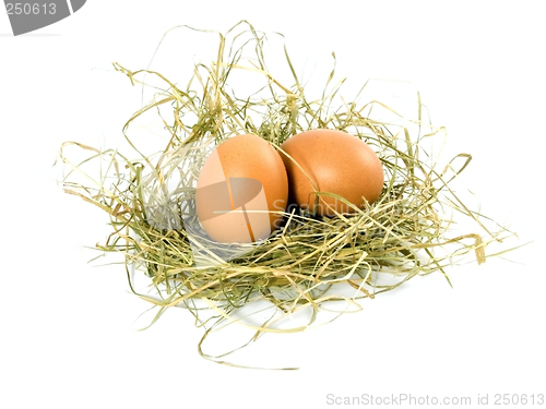 Image of eggs