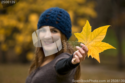 Image of Enjoying the autumn