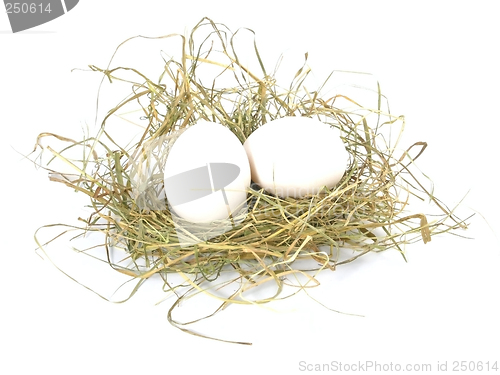 Image of eggs
