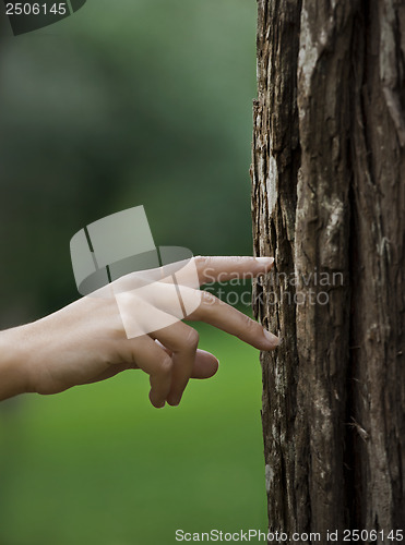 Image of Hand walking