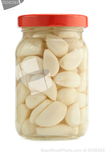 Image of Garlic