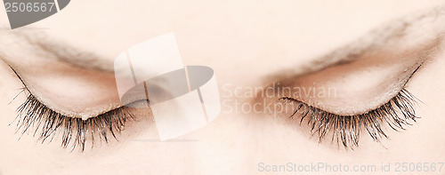 Image of lashes
