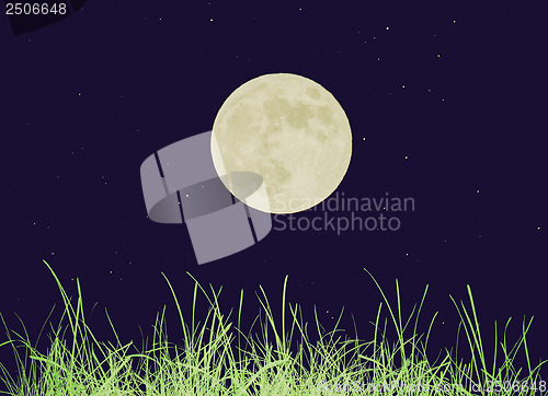 Image of Retro look Green grass meadow