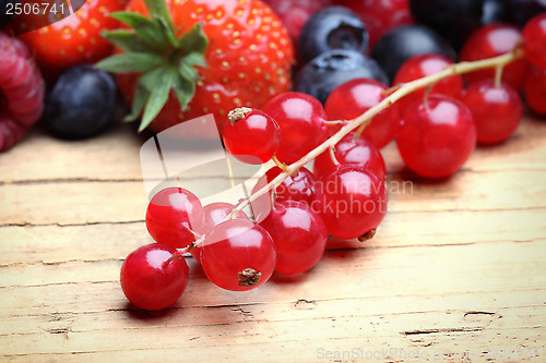 Image of Mix of differrerent berrie