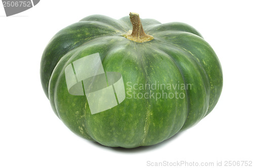 Image of Squash