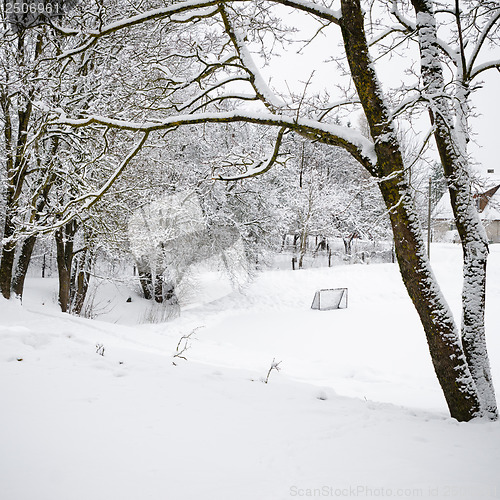 Image of Winter landscape with a pond in the countryside