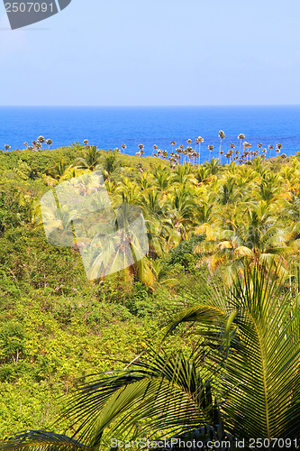 Image of Cuba nature