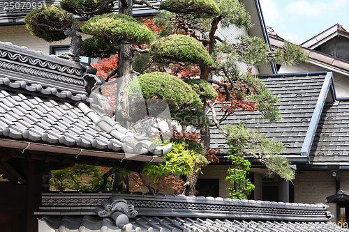 Image of Architecture in Japan