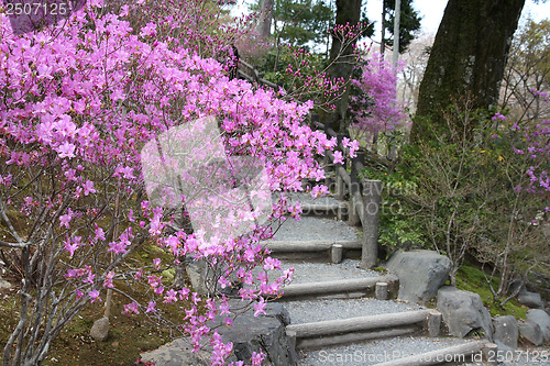 Image of Garden in Japan