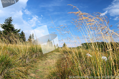 Image of Romania nature