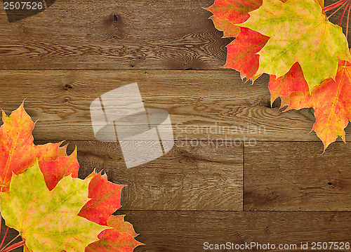 Image of leaves, fall, wood