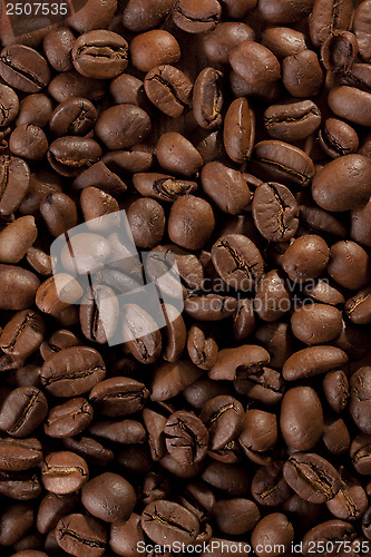 Image of coffee beans