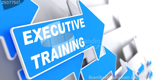 Image of Executive Training on Blue Arrow.