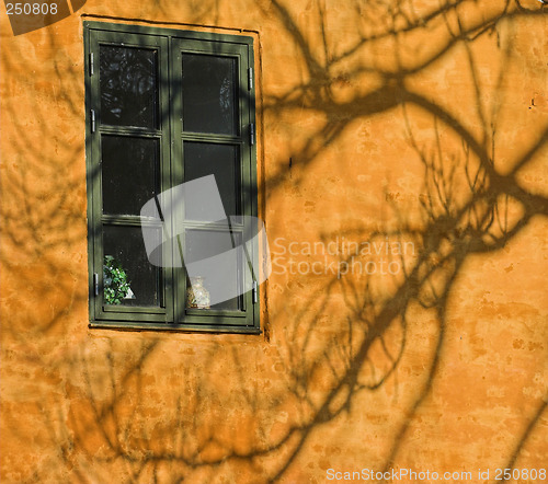 Image of shadows on the wall