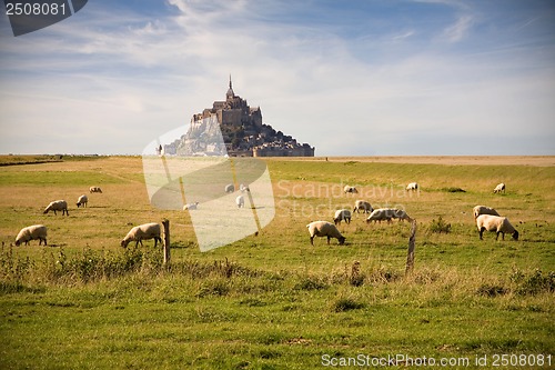 Image of Le Mont-Saint-Michel and sheeps