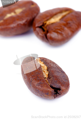 Image of Coffee Beans