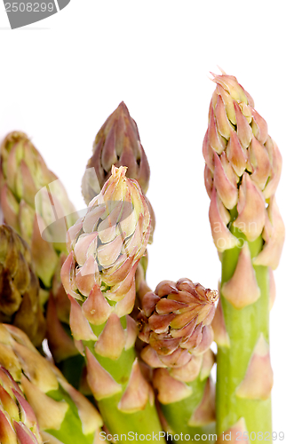 Image of Asparagus Sprouts