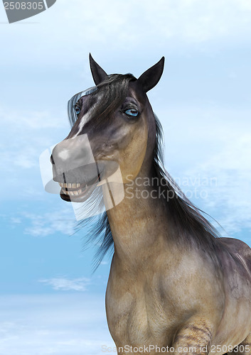 Image of Smiling Horse