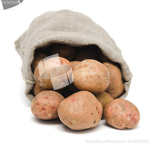 Image of potoato
