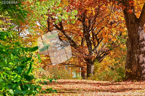 Image of Autumn landscape