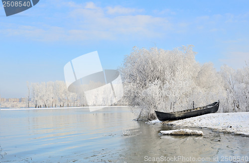 Image of Frosty winter trees near Danube river