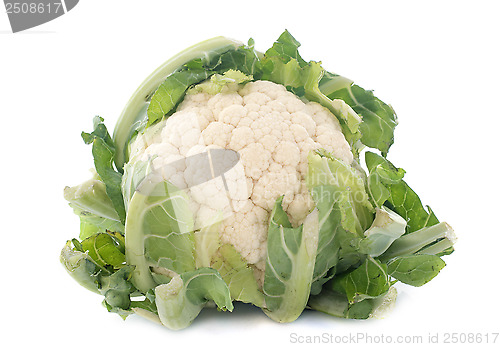 Image of cauliflower