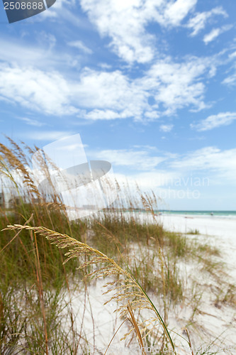 Image of Siesta Key Florida