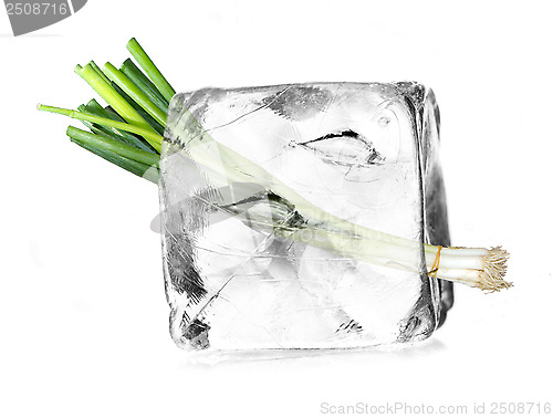 Image of leek in ice cube