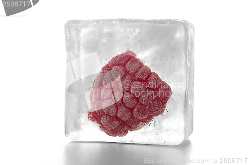 Image of fruit in ice cube