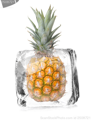 Image of pineapple in ice cube