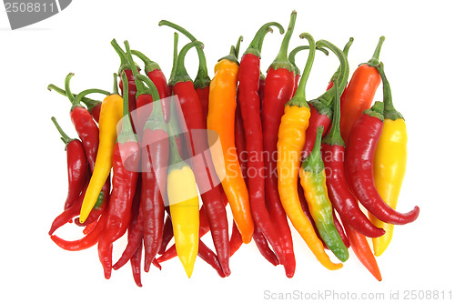 Image of Peppers