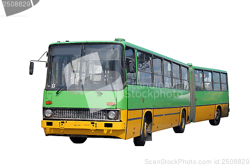 Image of Green bus