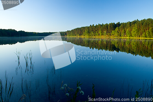 Image of Landscape at the lake