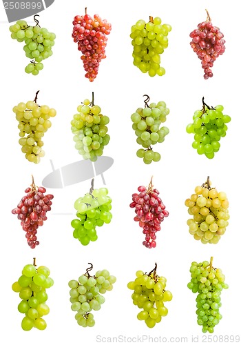 Image of Grapes