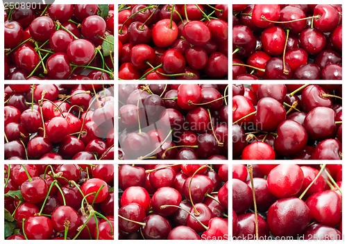 Image of Cherry