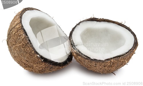 Image of Coconut