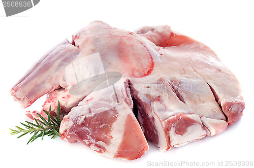 Image of shoulder of lamb