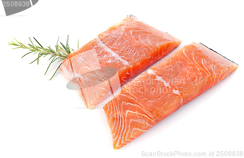 Image of salmon fillets