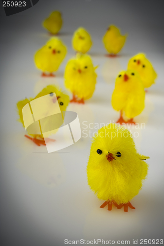 Image of Easter hen