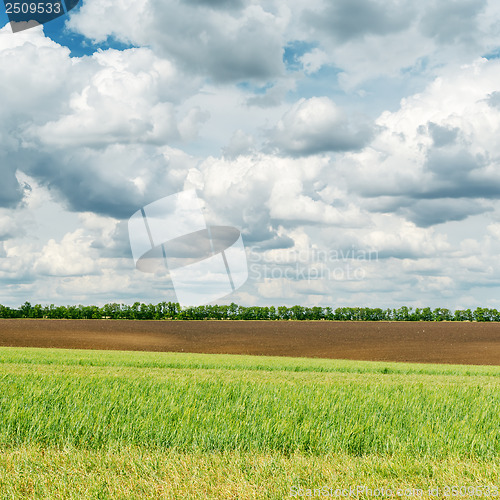 Image of agriculture green field and low clouds over it