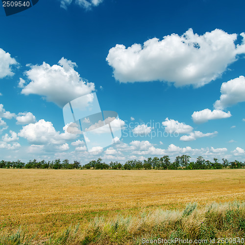 Image of rural landscape under cloudy sky