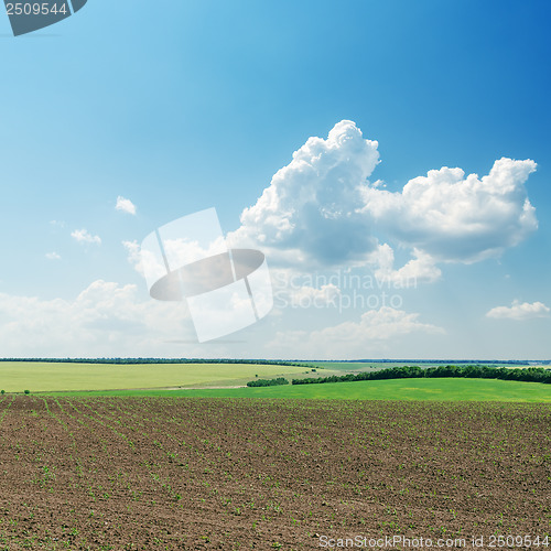 Image of plowed field in spring under cloudy sky
