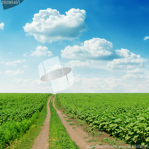 Image of road in green field under cloudy sky