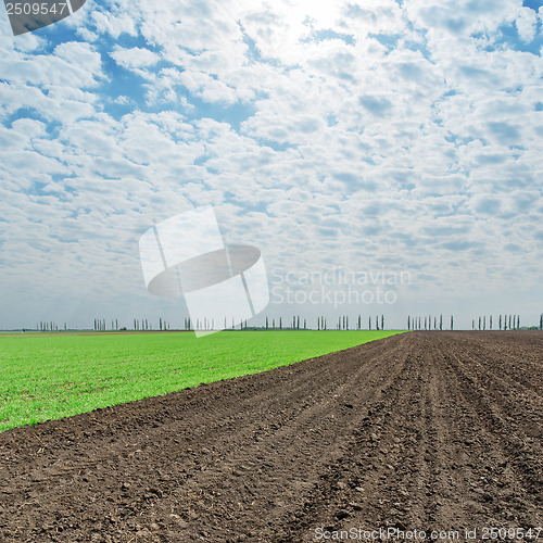 Image of plowed and green fields under cloudy sky