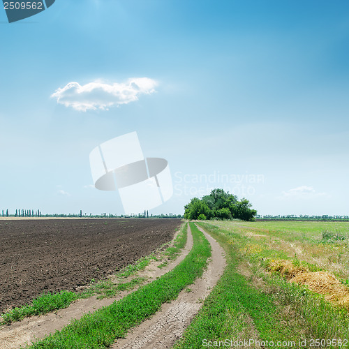 Image of dirty road to horizon in agriculture fields under blue sky