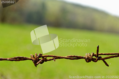 Image of barbed wire fence