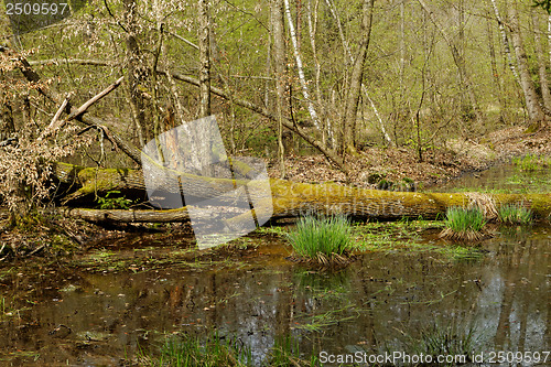 Image of small lake